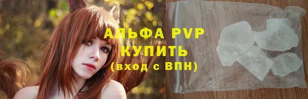 винт Каменка