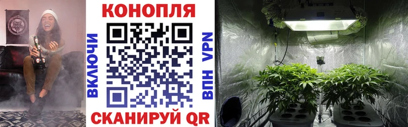 Каннабис Amnesia  Купить закладки  Лермонтов 